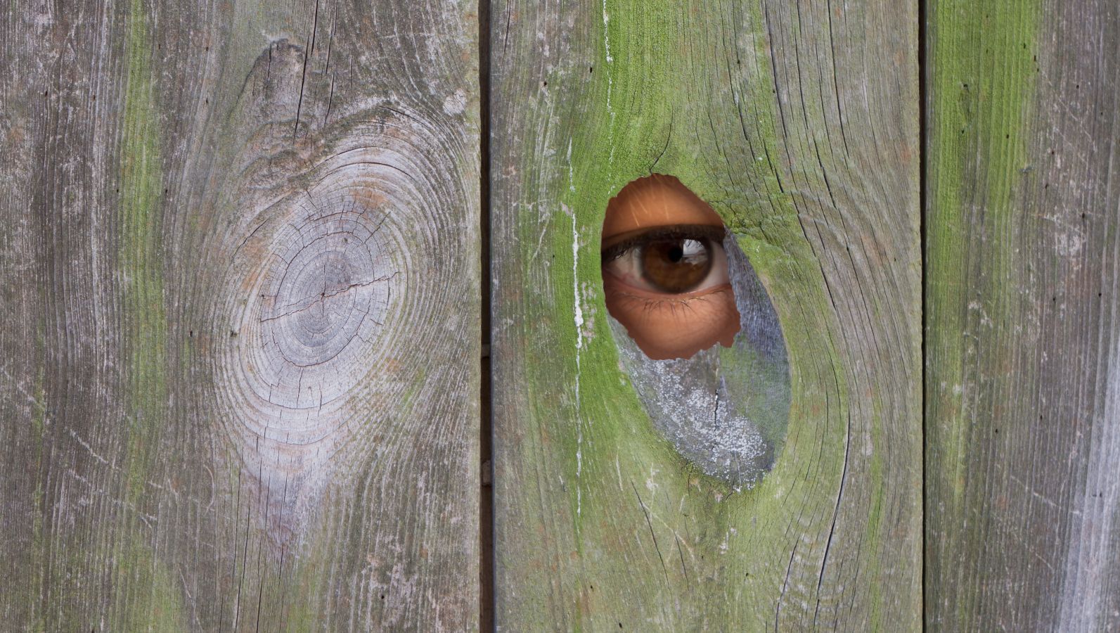 Zu sehen ist ein menschliches Auge, wie es durch ein Guckloch in etwas durchschaut, was ein Holzzaun sein könnte.